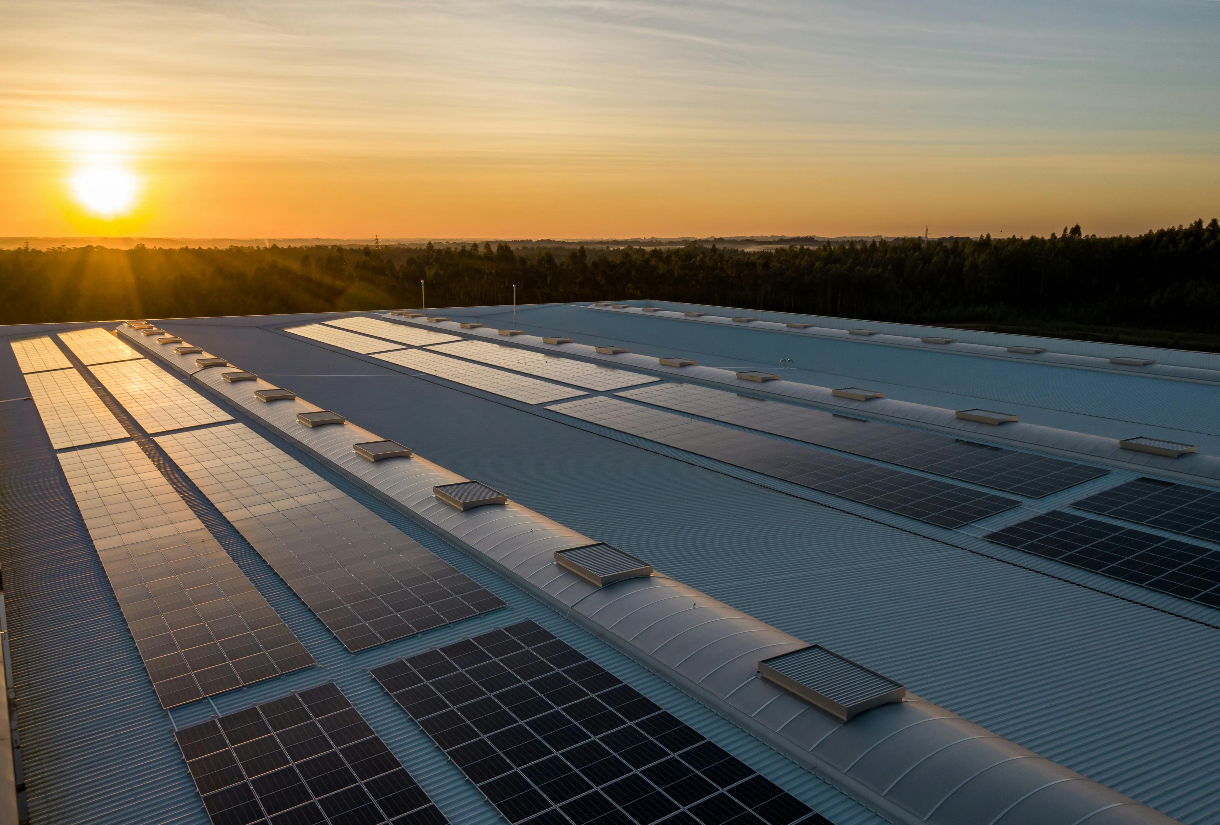 Energy Domain Advisor